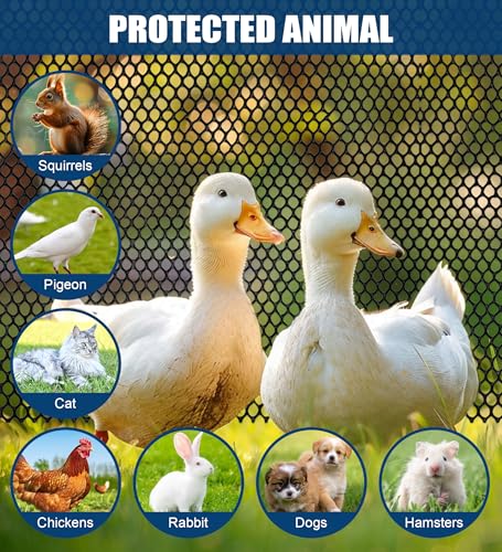 Black Plastic Chicken Wire Mesh,16in x 16.4ft with 30 Zip Ties | Easy to cut and bend, no sharp edges. Ideal for poultry, rabbits, dogs, garden beds, balcony screens, floral guards & DIY. - color: 16ft Black
