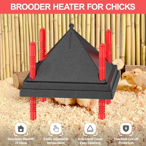 Chick Brooder Heating Plate with Anti Stand Cone, 10"x10" Temp Adjust Black | Adjustable Height Brooder Heater for Chicks, Downward Heat Distribution for Outdoor Barns & Coops - size: 10.0"L x 10.0"W x 9.0"H