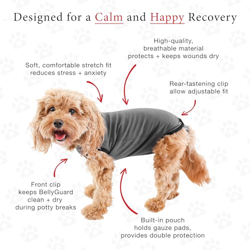 Dog Surgery Recovery Suit, Male Female After Spay Neuter Onesie | Soft Breathable Cotton, Anti-licking Cone Alternative, Protects Stitches & Abdominal Wounds, Patented Clip-up Potty System - color: Grey, size: Mini