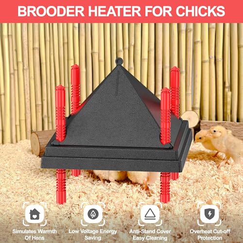 Chick Brooder Heating Plate with Anti Stand Cone, Fixed Temp, 10"x10" Black | Adjustable Height Brooder Heater for Chicks, Downward Heat Distribution for Outdoor Barns & Coops - size: 10" x 10" with Fixed Temp