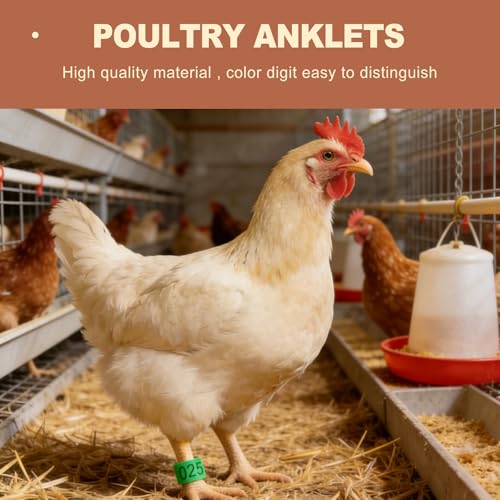 100 Pcs Chicken Leg Bands 16mm Colorful Numbered Poultry Tags for Identification Clip on Leg Rings for Ducks Chicks Goose Gamefowl Turkey Birds