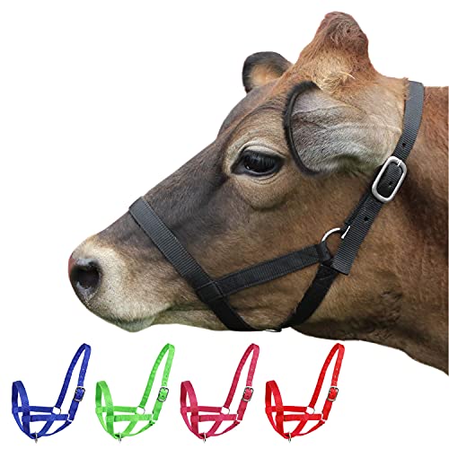Derby Originals Adjustable Nylon Livestock Cattle Halters - color: Black, size: Medium (500-800lbs)