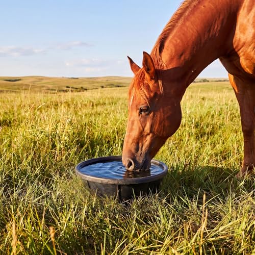Sadnyy 4 Pcs Rubber Feed Pan 8 Quart/2 Gallon and 12 Quart/3 Gallon Utility Horse Feed Bucket Chicken Dust Bath Tub Livestock Water Trough Bowl for Chickens Ducks Goats Dogs Pigs Farm Small Animal - size: 8 Quart/2 Gallon and 12 Quart/3 Gallon