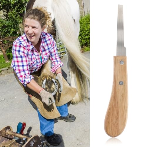 VANZACK 2Pcs Horse Hoof Trimmer Stainless Steel Horseshoe File Tool with Wooden Handle Portable Hoof Repair Tool for Cleaning Uneven Edges and Smoothing Surface