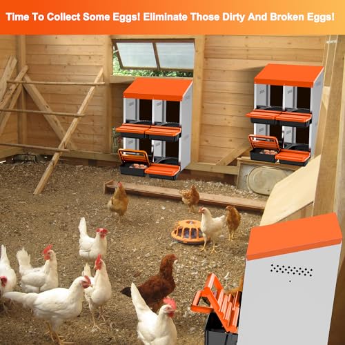 Chicken Nesting Boxes, Roll Away Nest Box for Egg Collector, 4 Holes Orange | Metal Nesting Box for Laying Eggs with Lid Cover to Protect Eggs, Easy Wipe, Slide Out for Quick Bedding Change and Rinse - size: 4 Holes