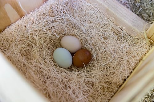 My Favorite Chicken Nesting Box Pads for Chickens - Accessories for Hens, Chicken Coops and Laying Eggs - Square Liners Fit in Your Coop - Natural Fiber Material Bedding Mats - style: Regular (No Herbs)