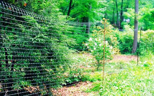 Tenax Deer Fence Barrier Reinforced Edge 7.5'x100' Black Made in USA Deer Control Fence 10 Yr 600 lb Breaking Load Reinforced PP Plastic Exclusive Rounded Tensile