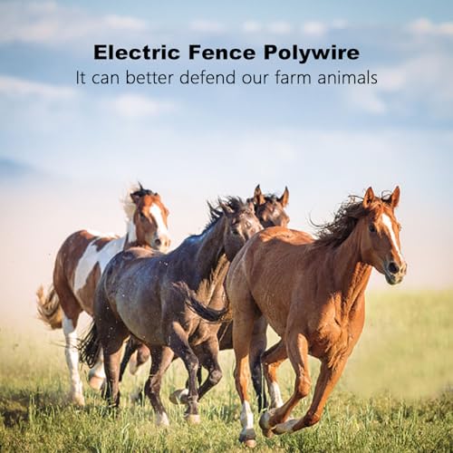 Fence Rope,Upgraded Electric Fence Polywire,6 Stainless Steel Strands for Reliable Conductivity and Rust Resistance UV Resistant,3366 Feet/1026 Meters,Red and White Color - size: 3366Feet