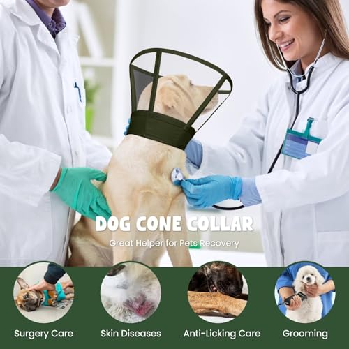 Dog Cone Collar for Dogs After Surgery,Transparent Dogs Cone Stop Licking,Foldable Dog Recovery Collars & Cones Anti-Bite Lick Protective Wound,Protective Elizabethan Collar Alternative,Green,M - color: ArmyGreen