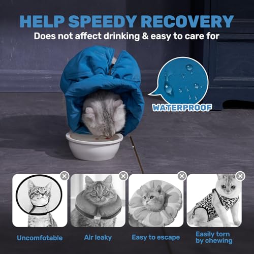 Cat Recovery Collar, Soft Adjustable Cat Cone Alternative, Lightweight Waterproof Fasteners Collars for Cats Kittens Puppies, After Surgery Stop Licking, Post-Surgery or Skin Protection - color: Lake Blue, size: Medium
