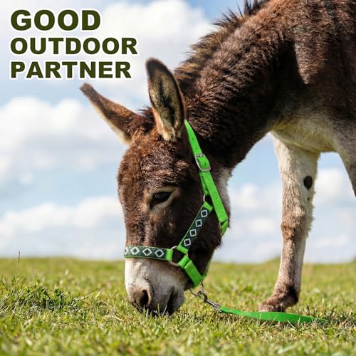 1 Set Mini Donkey Halter with Lead Rope Adjust, Bright Green | Nylon Head Collar, Cute and Stylish, for Miniature Donkey and Small Equines, Farm Ranch Pasture Outdoor, Gingham Plaid Trim - color: Bright Green