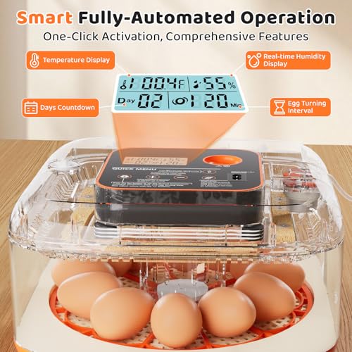 Incubators for Hatching Eggs Automatic Egg Incubator with Temperature Control Humidity Display 12 Egg Capacity for Chicken Duck Goose Eggs Digital Display Auto Turner 360° View (Orange Yellow) - color: Orange Yellow