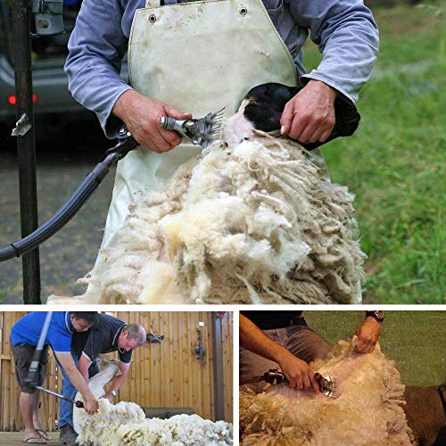 Sheep Shears Blades Curved Wool Shearing Comb and Cutter Blade Set for Alpaca Goats Wool Cutter Grooming Trimmer(13T Scimitar+Front Blade) - size: 13T scimitar+front blade