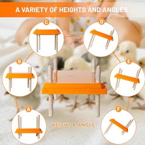 NUGRIART Brooder Heater for Chicks, 10" x 10" for 15 Chicks Heating Plate with Adjustable Height and Angle 15W Chicken Brooder Warm Like Mother Hen