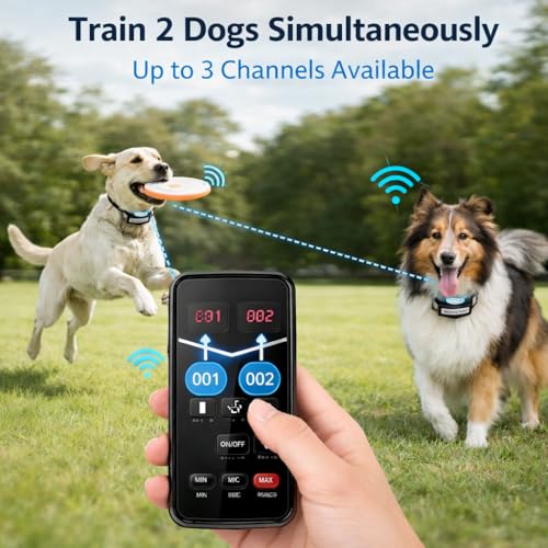 2026 Advanced 2-in-1 Wireless Dog Fence & Dog Training Collar for 2 Dogs, Portable with LCD Display, Adjustable 300M Range & Warning Levels, Rechargeable, Wireless Dog Fence (Black) - color: Black
