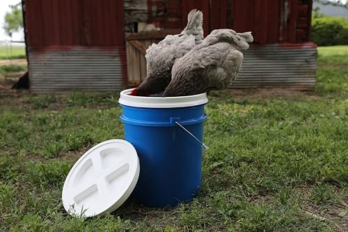 Gamma2 Seal Bucket Lid, Food Grade, 10 In Diameter, Twist Lock, White Color | Fits most 2 gallon buckets, airtight locking mechanism, USA made, keeps contents fresh and dry, simple to close each day - size: 10 In