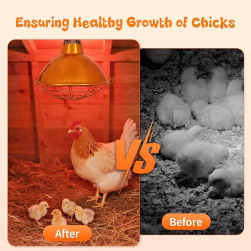 Large Chicken Coop Heat Lamp with 250w Infrared Heat Bulb | Adjust 2 Mode Temperature&Hanging Height,Aluminum Reflector for Coop Brooder,Cat,Puppy,Lamb