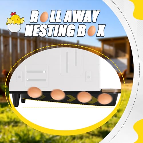 Chicken Nesting Box, 2 Compartment Nesting Boxes for Chickens, Large Chicken Laying Boxes for Egg Collection & Hen on Nest, Roll Away Nesting Boxes Chicken (Extra Large)