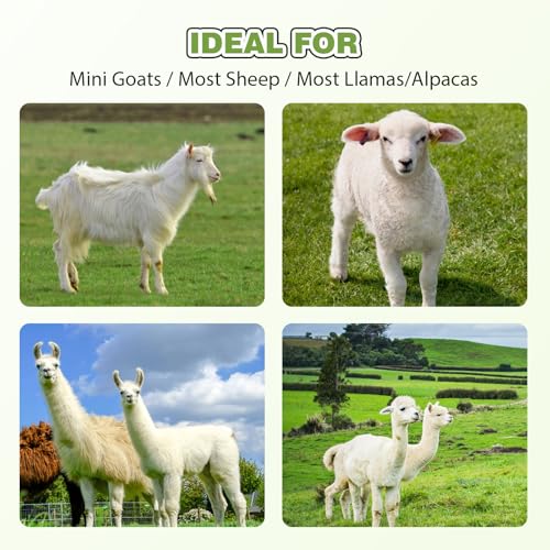 φ25mm Double Head Teat Cup for Goat, Milking Machine Accessory | with 5x8mm Hose, Easy to Clean, Soft Silicone Liners - style: Cups for goat