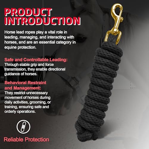 5/8" x 8' Nylon Horse Lead Rope with Cast Iron Hardware (Black) | Durable nylon material, cast iron hardware, ideal for daily use, training and showing. - color: Black