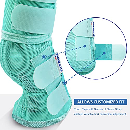Harrison Howard Horse Leg Guard Stomp Reduction Hook and Loop Closures Rubbing Prevention - color: Mint, size: Arab Medium (Pack of 4)