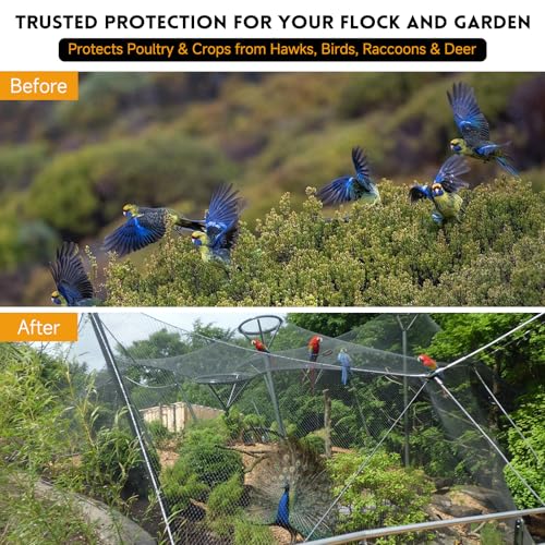 Heavy Duty Aviary Netting 25x50 ft, 1" Mesh Reinforced HDPE Poultry Netting, Anti-Tangle Bird Netting for Chicken Coop, Hawk Deterrent for Chickens, Garden & Crop Protection - style: 25' x 50' - 1"