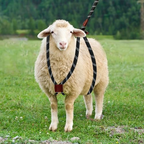 Goat Harness & Leash, Adjustable Step-in Sheep Harness, Goat Accessories, Livestock Halter Supplies for Goats and Sheep (Extra Large) - size: Extra Large