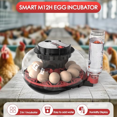 Incubators for Hatching Eggs Automatic Egg Incubator with Temperature Control Humidity Display 12 Egg Capacity for Chicken Duck Goose Eggs Digital Display Auto Turner 360° View - color: Red Black