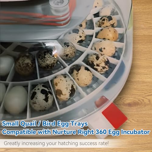 Enhon 48 Egg Tray Compatible with Nurture Right 360 Incubator, Plastic Egg Turner Tray Replacement for Hatching Small Quail Bird Chicken Goose Turkey, Hand Washable, Various Sizes - size: 12.2"L x 12.2"W x 0.8"H