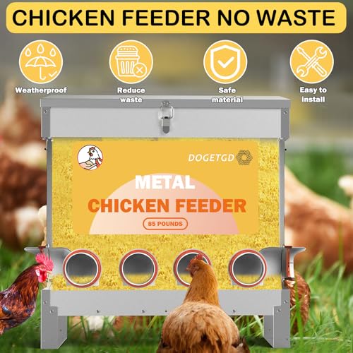 Automatic Chicken Feeder No Waste Metal Poultry Feeder Large Capacity 85 lbs for Chickens, Geese, Ducks, Turkeys, Quails (6-Port) - size: 6-Port