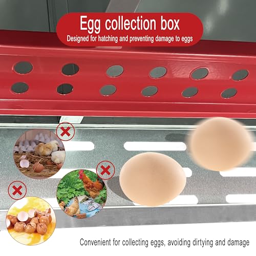 XINYI Chicken Nesting Boxes for Laying Eggs,Metal Coop for 4 Chickens,Roll Away Nesting Boxes,Easy Egg Collection,Brooder Box for Rabbit,Squirrel,Parakeet,Owl,Cockatiel,Robin - size: 33.0"L x 13.0"W x 24.4"H