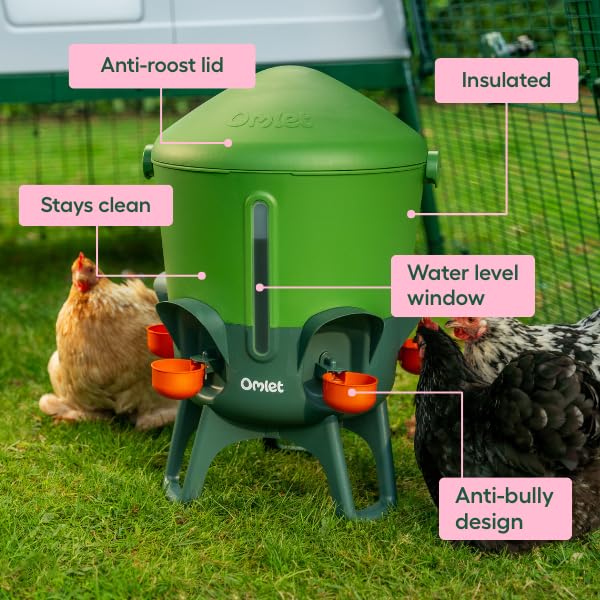 Omlet Insulated Chicken Waterer, 3 Gallon | Stay-Clean Automatic Water Dispenser for Chickens | BPA-Free | Anti-Roost Domed Lid | Includes 5 Cups & Nipples | Eglu Green - color: Eglu Green, size: 3 Gallon