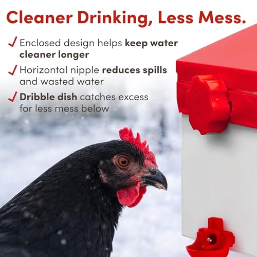 RentACoop Chick2Chicken 2.5lb Medium Port Feeder and 64oz Drinker Set