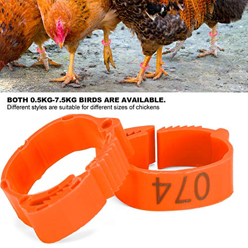 GLOGLOW Chicken Leg Rings 100PCS, 0.7-0.9 Inch Adjustable Poultry Identification Bands, Durable Plastic Foot for Chicken Ducks Geese