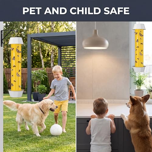 Sticky Fly Traps Indoor Outdoor 6 Pack, Super Sticky Hanging Hook Non-Toxic Fruit Fly Traps for Wasps Insects Moths Mosquitoes Fruit Flies Spiders Fleas Bugs and Gnats,Family and Pet Safe