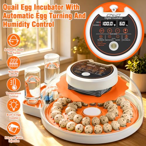 Quail Egg Incubator with Automatic Turner and Humidity Control | Quail Incubators for 40 Hatching Eggs,Outdoor Poultry Egg Incubator, Suitable for Parrot Canary and Other Bird - color: Orange