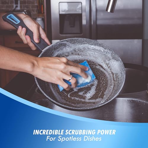 Elitra Essentials Scrubber Sponge, Non-Scratch Hydrophilic Foam Technology - Odor Resistant, Curved Grip, Dual-Sided Foam & Acrylic Grain Surface, Made in USA (Pack of 6) | Non-Scratch Hydrophilic Foam Technology - Curved Grip, Dual-Sided Foam & Acrylic G