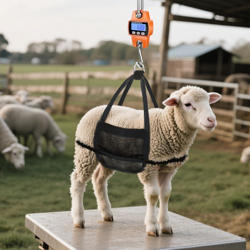 RoMech 660lb Digital Hanging Scale with Cast Aluminum Case, Handheld 300Kg Mini Crane Scale with Hooks for Farm Hunting Fishing Outdoor (Orange) | 300KG Heavy Capacity, High Accuracy Weighing, kg/lb/N Unit Conversion, Suitable for Fishing, Farm, Hunting -