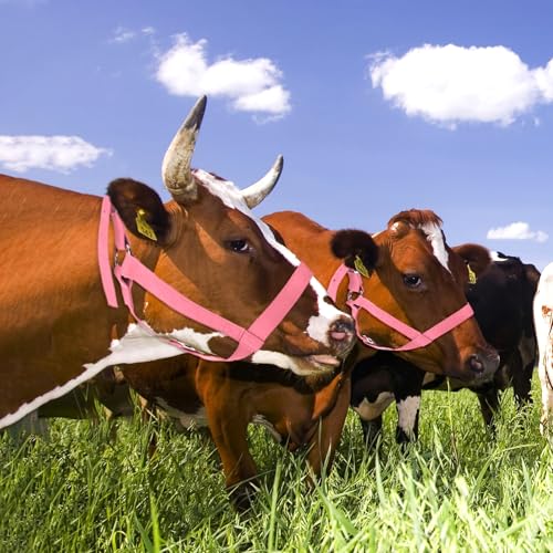 M METERXITY 1-Pack Adjustable Cattle Cow Calf Halter, 19.68"-23.62" Nylon Livestock Cow Halter for Miniature Horse/Donkey/Goat/Cattle [Pink]