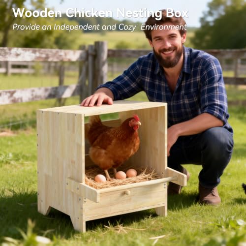 3 Hole Chicken Laying Boxes for Hens | Wood Egg Laying Box, Wall Mounted Nesting Boxes for Chickens, Hens, Ducks, Poultry