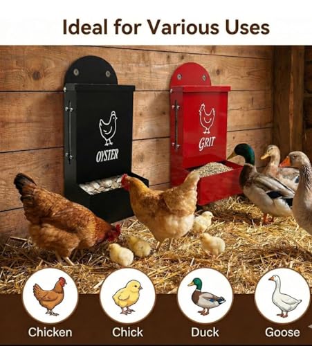 Premium Metal2 Packs Oyster Shell Feeder for Chicken with Lid Viewing Window Dual grit Feeder Grit Oyster rain Cover Duck Feeder Chicken Coop Accessories Improve Eggshell Quality and Hen Health
