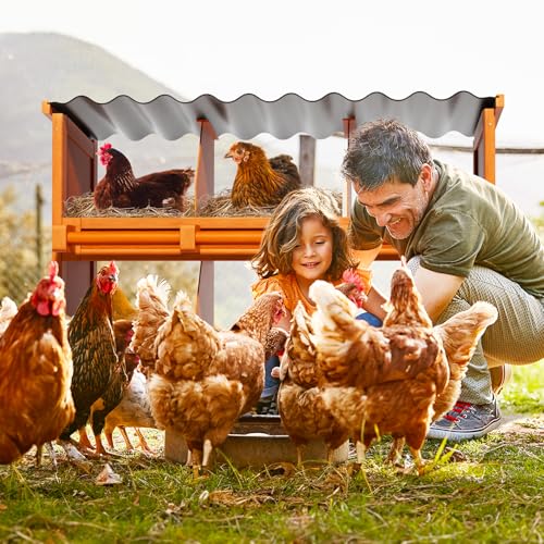 2-Tier Chicken Nesting Box, 6 Compartment Wooden Nesting Box for Chickens with Waterproof Roof, Non-Slip Stable Base, Heavy Duty Chicken Laying Boxes for Hens, Duck, Poultry, Bird, Orange - size: 38.8"L x 12.6"W x 29.8"H
