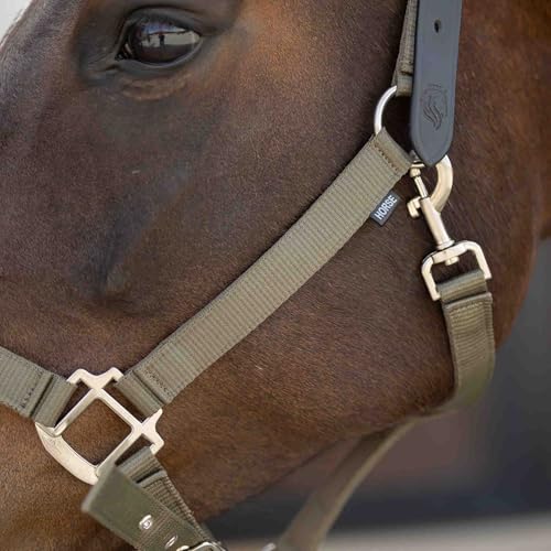Equinavia Loki Nylon Horse Halter: Breakaway Leather Crown, Adjustable Fit - color: Light Olive, size: Pony