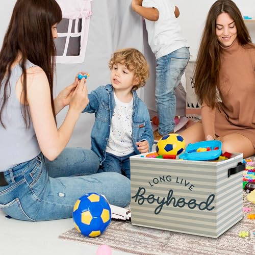 Long Live Boyhood Boys Storage Bins Box with Handles, Light Blue Striped Collapsible Basket Organizer for Kids Boy Nursery Room Bedroom Bathroom Playroom Books Clothes - color: Color12