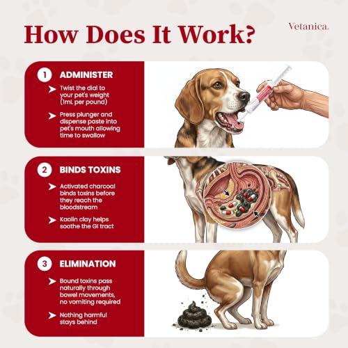 PawMergency – Activated Charcoal First Aid Kit Emergency Rescue 5 Pack for Dogs, Cats, Puppy & Pet Poison Kit, Camping Survival Remedy Essential, Oral Anti Diarrhea Digestive Absorb Toxins - size: 91 - 150lbs (5 Tubes)