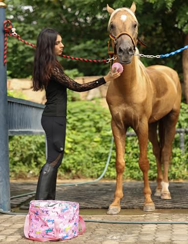Harrison Howard Complete Horse Grooming Set, 11-Piece Advanced Daily Grooming Tools with Extra Brushes for Full Horse Care Pink Brushstroke Ponies - color: Pink