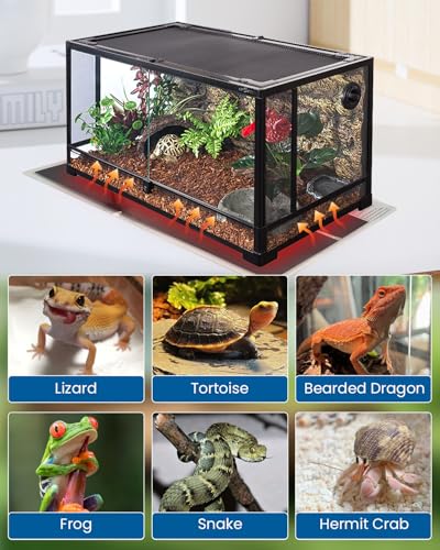 MQ Reptile Terrarium Heat Pad with LCD Digital Aquarium Thermometer, 11 x 11in Power Adjustment Under Tank Heater Mat for Pets, Small Animals, Seedling, 14W - size: 14W, 11*11 in