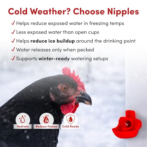 RentACoop 32oz Chicken Drinker with 2 Versatile Nipples