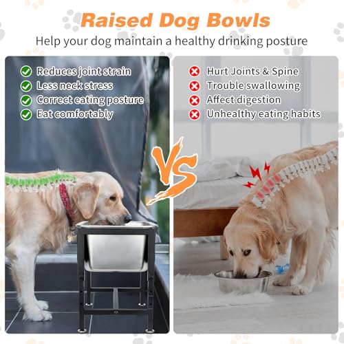 3 Gallon Elevated Dog Water Bowl, Raised Stand for Large Dogs | 4 Adjustable Heights, 9.65-15.16 in Stand, 3 Gallon Bowl, 14 x 10.6 x 5.9 in Size, Indoor Outdoor Use, Easy to Clean