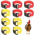 M METERXITY 10-Pack Rooster Collars, 8.07" x 0.79" Adjustable Soft Polyester Anti-Noise Neck Belt for Chickens and Poultry Birds, Noise Control Collar [Red/Yellow] - color: Red/Yellow